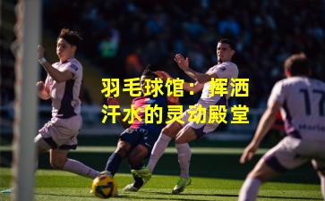 羽毛球馆：挥洒汗水的灵动殿堂