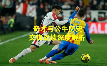 奇才与公牛历史交锋战绩深度解析